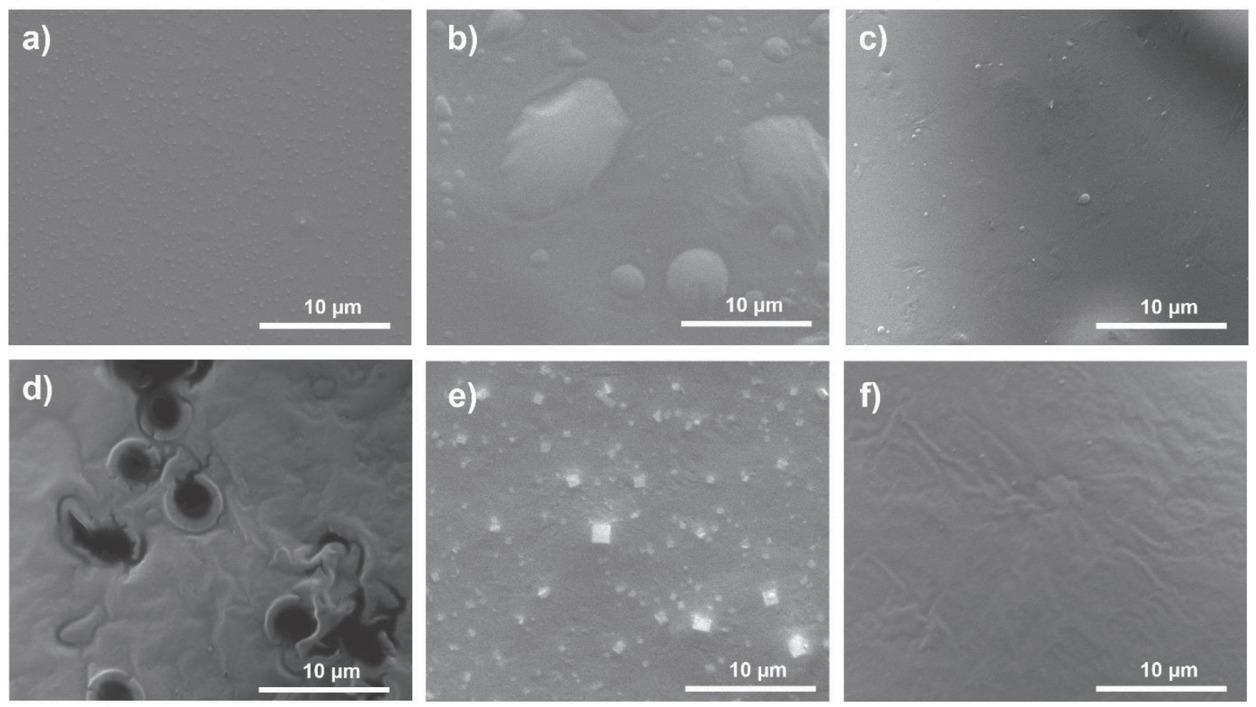 SEM image of self-assembled Gly-His dipeptide films in various solvents: a) 1,1,1,3,3,3-hexafluoro-2-propanol, b) water, c) ethanol, d) acetone, e) chloroform, and f) tetrahydrofuran
