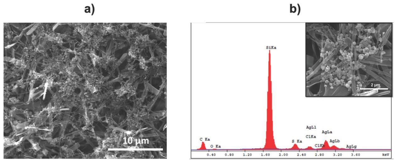 SEM images of (a) morphological changes in Gly-His films formed in AgNO3 solutions for 6 h and (b) zoomed AgNP-decorated Gly-His structure with the EDX spectrum