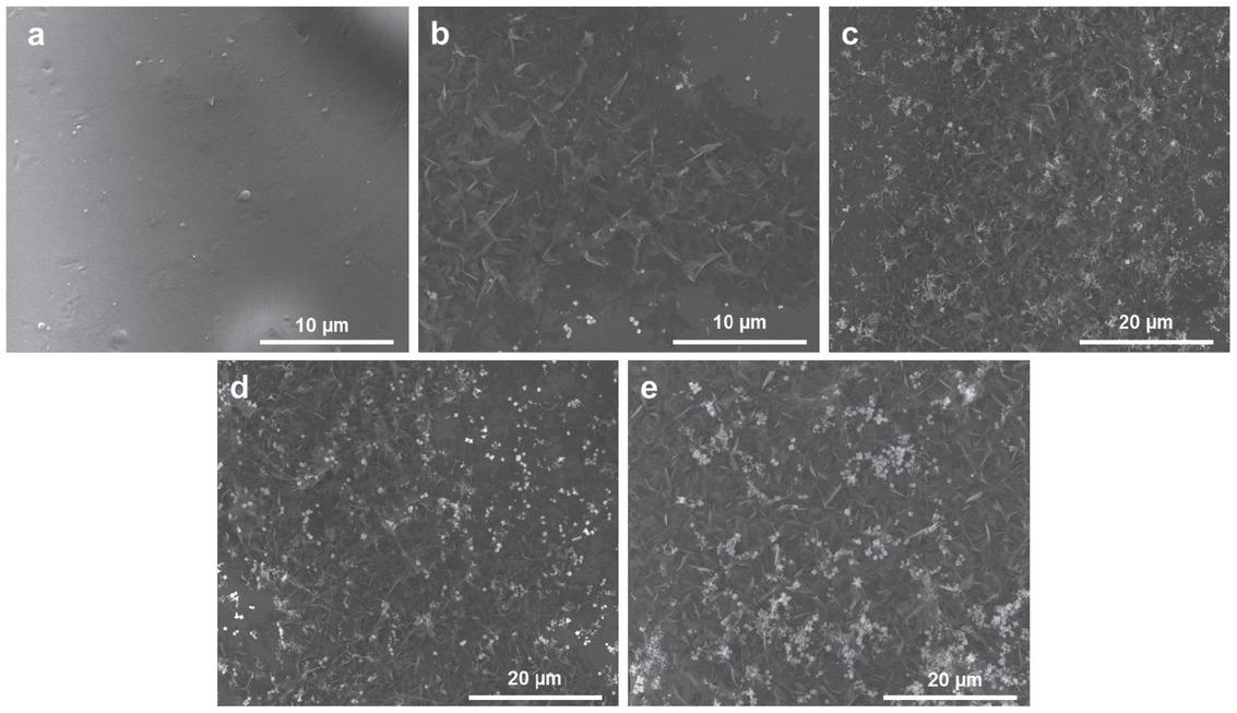 SEM images of Gly-His film structures kept in AgNO3 solution for a) 0 h, b) 3 h, c) 6 h, d) 12 h, and e) 24 h