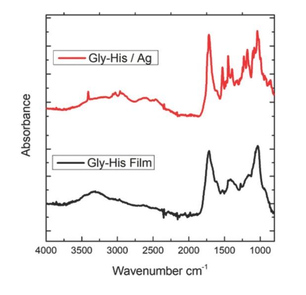 FTIR spectra of Gly-His dipeptide films with and without Ag