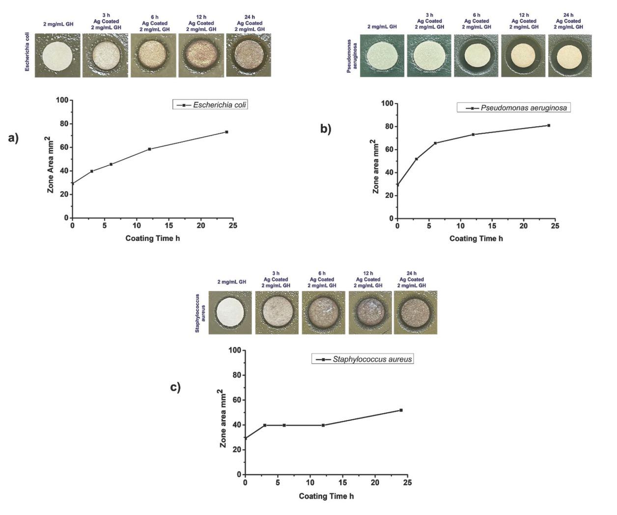 Antibacterial activity of Gly-His dipeptides with or without AgNPs against a) Escherichia coli, b) Staphylococcus aureus, and c) Pseudomonas aeruginosa