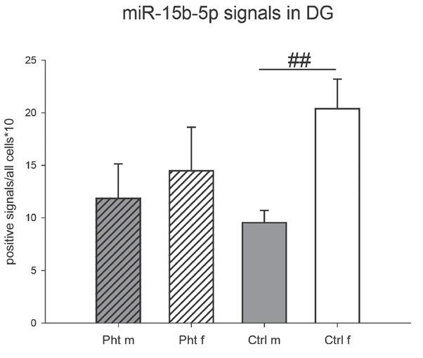 Relative number of miR-15b-5p-positive neurons in the dentate gyrus (DG) of control male rats (Ctrl m; n=5), control female rats (Ctrl f; n=9), phthalate-treated male rats (Pht m; n=5), and phthalate-treated female rats (Pht f; n=10). ## p<0.01 for the Ctrl f and Pht f comparison (unpaired Student’s t-test: t=-3.143, p=0.008)