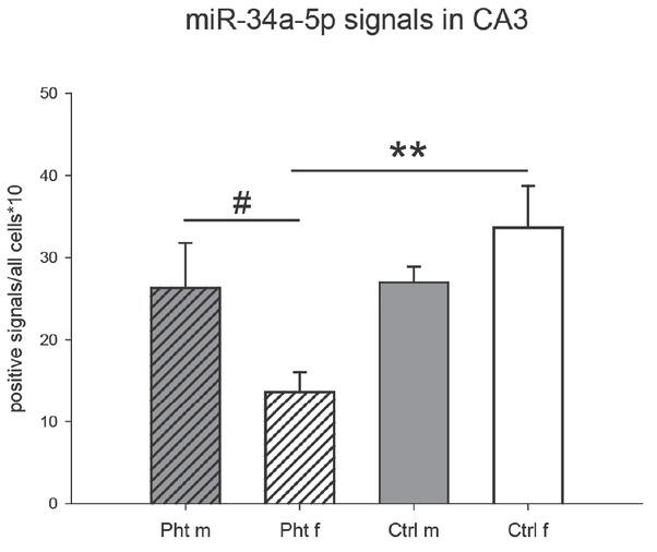 Relative number of miR-34a-5p-positive neurons in the hippocampal cornus ammonis 3 (CA3) region of control male rats (Ctrl m; n=4), control female rats (Ctrl f; n=8), phthalate-treated male rats (Pht m; n=4), and phthalate-treated female rats (Pht f; n=7). The treatment effect (F1,19=5.009, p=0.037) and the sex × treatment interaction (F1,19=4.39, p=0.049) are significant. ** p<0.001 and # p<0.05 for the Pht m and Pht f comparison (unpaired Student’s t-test: t=2.363, p=0.042)