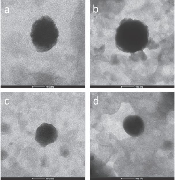 TEM images of SLN1 (a), SLN2 (b), NLC1 (c), and NLC2 (d)