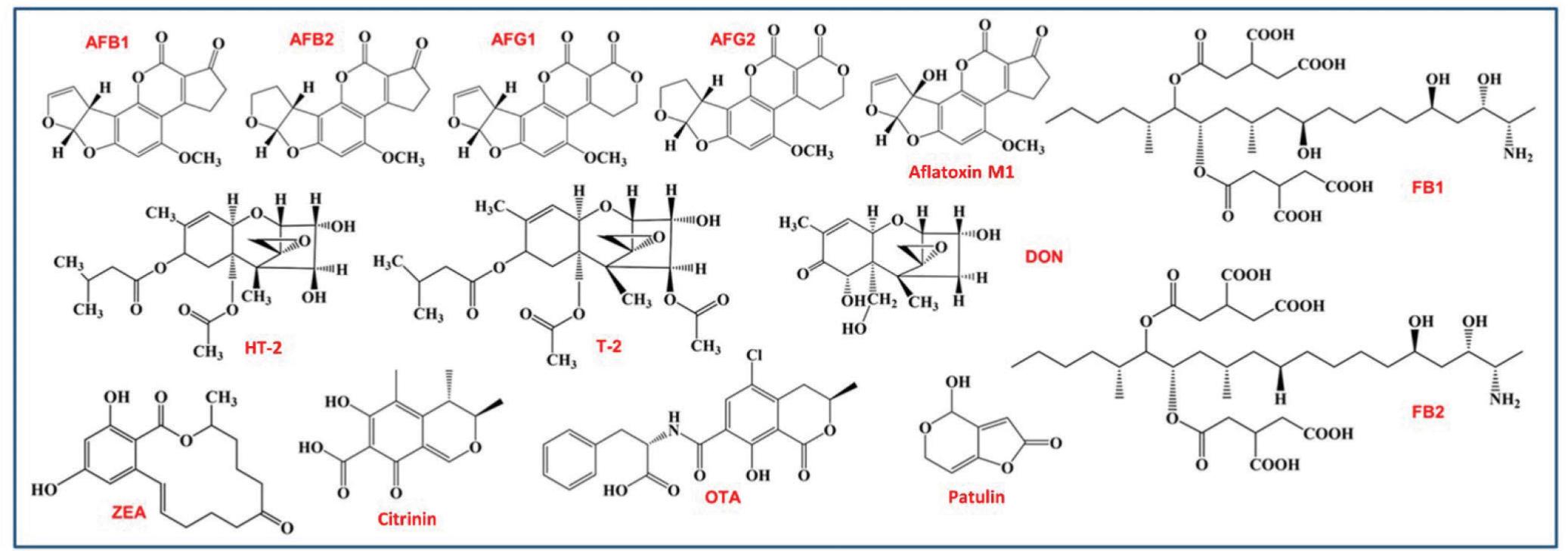 Chemical structures of EU-regulated mycotoxins (excluding ergot alkaloids)