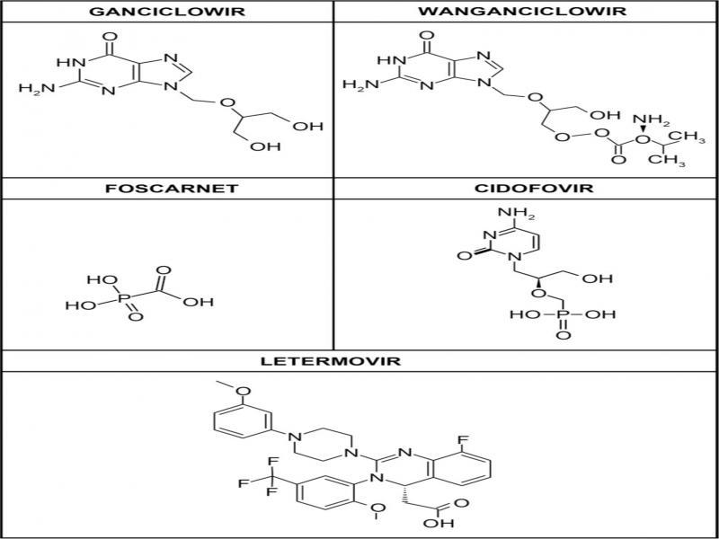 Drugs approved for use in the prevention and treatment of hCMV infections ganciclovir, vanganciclovir.