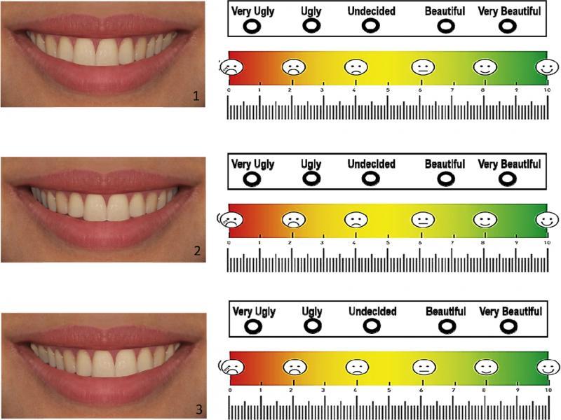 An example of the survey form.