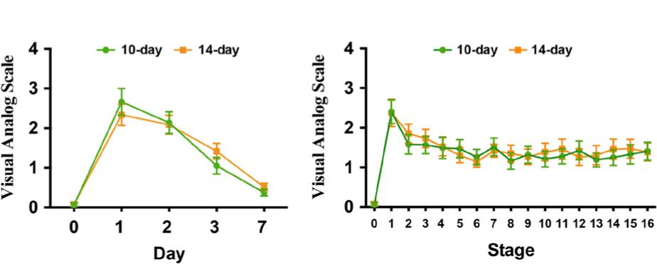 Pain perception (VAS score, mean ± standard error) of the 10-day and 14-day groups was similar throughout the study.