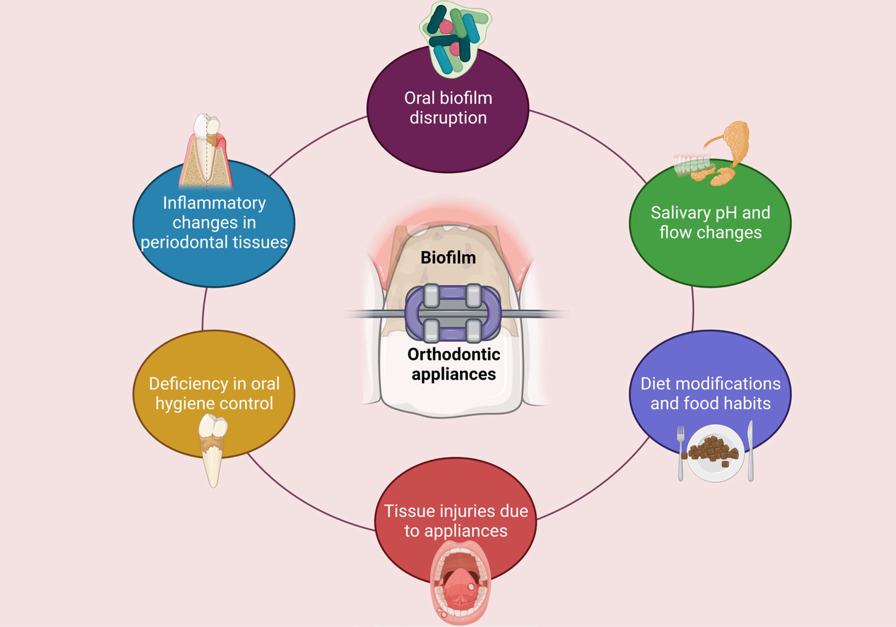 Orthodontic appliances impact oral health since patients must change their eating habits. Braces create oral hygiene difficulty and produce changes in salivary pH and disruption of the oral biofilm leading to inflammatory changes, plus damage to the periodontal tissues.