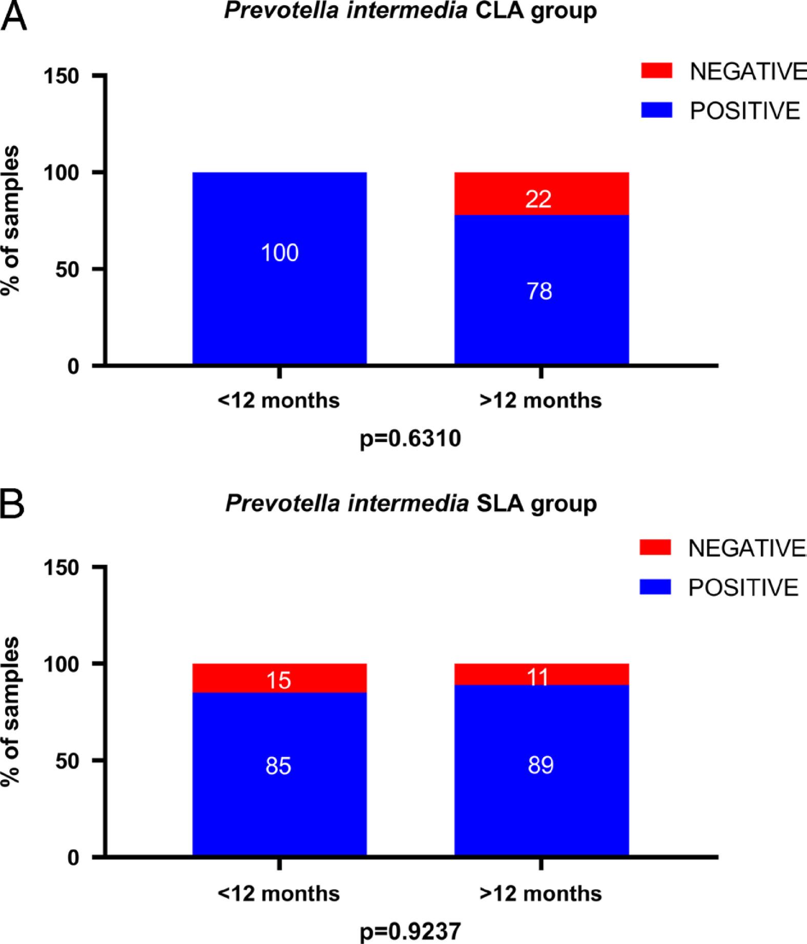 P. intermedia is higher after 12 months in CLA and SLA.