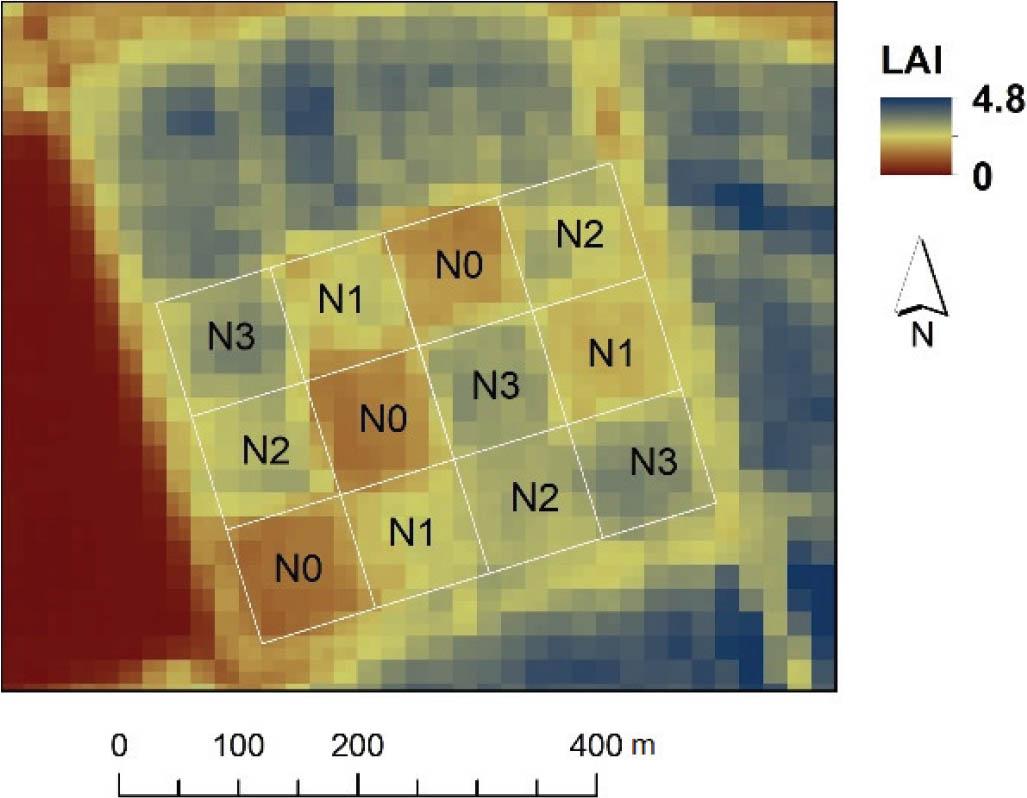 Schema des N-Düngungsversuchs in Engelhartstetten (Marchfeld, Österreich) 2016. Hintergrundbild: Sentinel-2A-Leaf-Area-Index(LAI)-Karte vom 6. Mai 2016.Figure 2. Scheme of the N fertilisation experiment in Engelhartstetten (Marchfeld, Austria) 2016. Background image: Sentinel-2A Leaf Area Index (LAI) map of 6th May 2016.