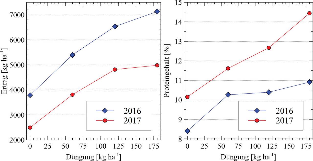 Weizenertrag (links) und Proteingehalt (rechts) der vier Düngestufen.Figure 3. Wheat yield (left) and protein content (right) of the four fertilisation levels.