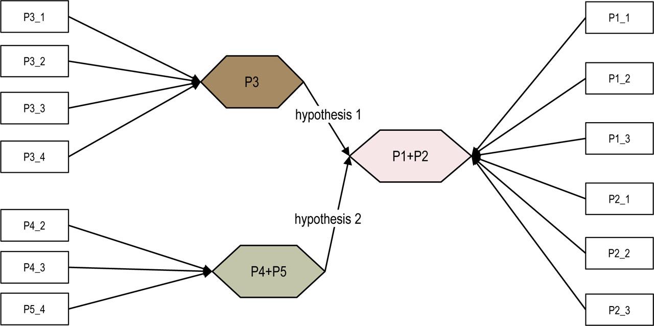 Schematic diagram of a composite-based SEM model for SRCPsSource: own analysis