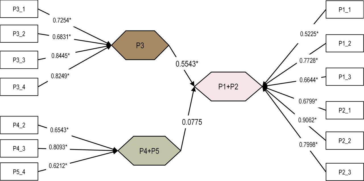 Composite-based SEM model for SRCPsSignificant relationships (loadings and path coefficients) are marked *Source: own analysis using R's cSEM package