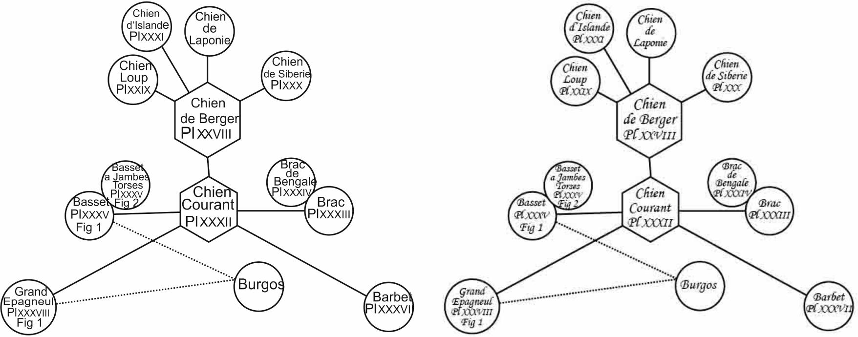 Partial reconstruction of Buffon’s dog breeds and their relationships; comparison of printing quality of vector graphics file (left) and raster file (right).