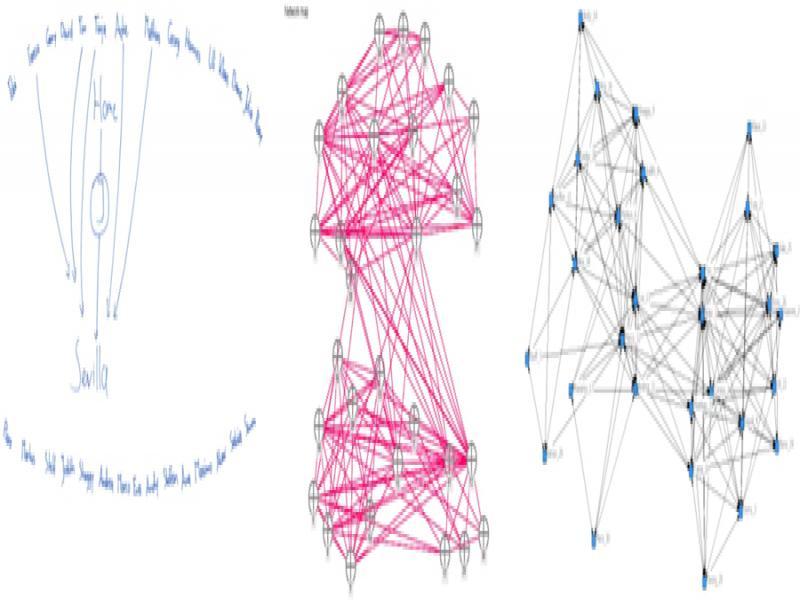 Spontaneous visualization and graphic representations with VennMaker and Ucinet of the personal network of an Erasmus student.