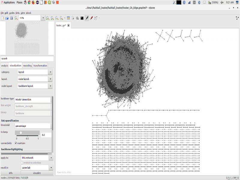 Backbone layout representation of the Toaster data set.