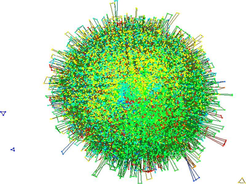 Force-directed representation of the Toaster data set.