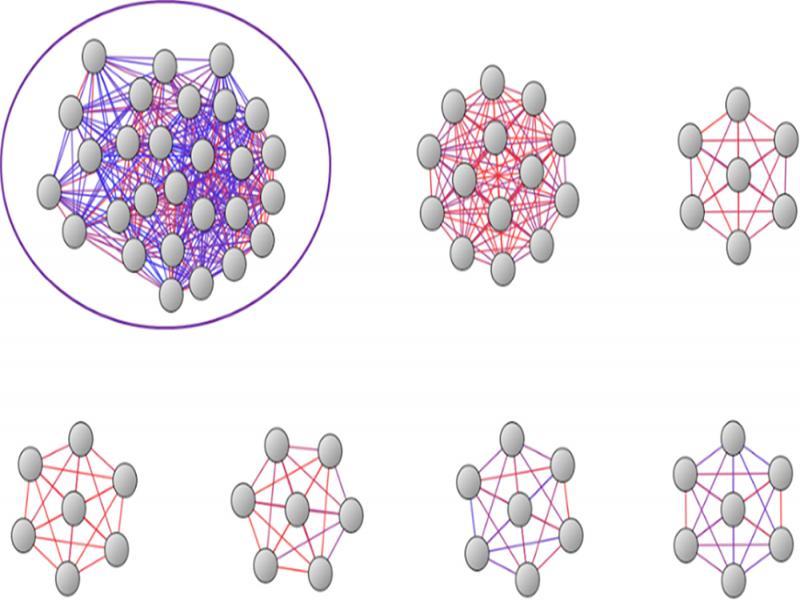 Sample CodeDNA™ cluster outputs of Linux coreutils binaries.