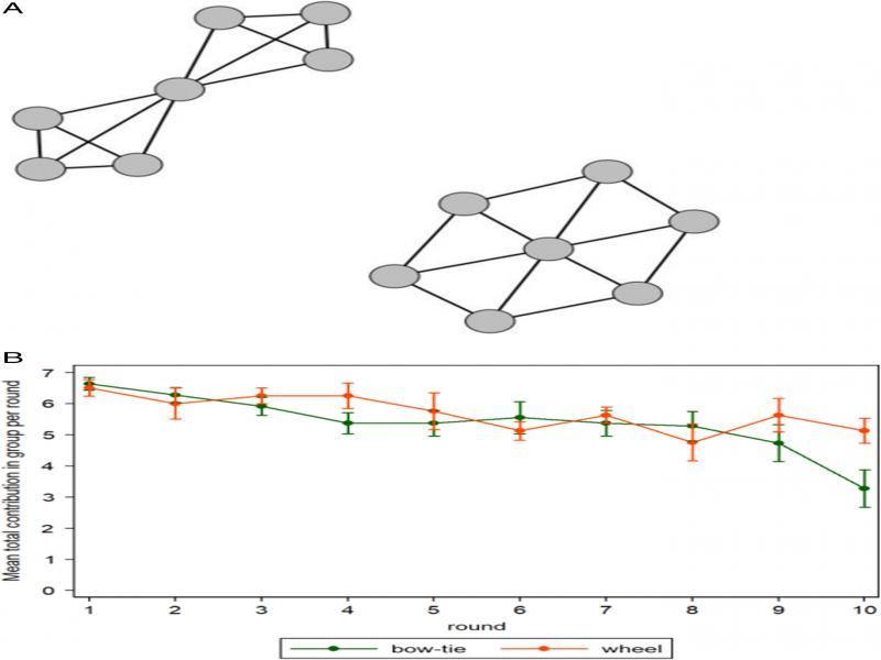 (a) Bow-tie and wheel networks, adapted from Bruggeman (2018). (b) Experimental outcomes over all groups (N = 19). Error bars represent standard errors of the means.