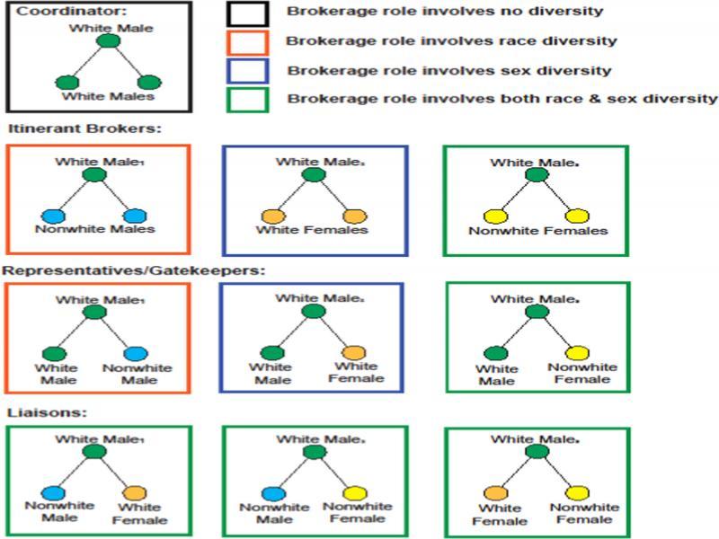 Decomposition of brokerage roles and classification of type of race-sex diversity.