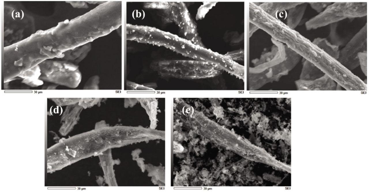Morphology of the starting material and post thermal treatments (rulers were 30 μm).(a) starting material; (b) S-0-O; (c) S-5-O; (d) S-10-O; (e) S-21-O;