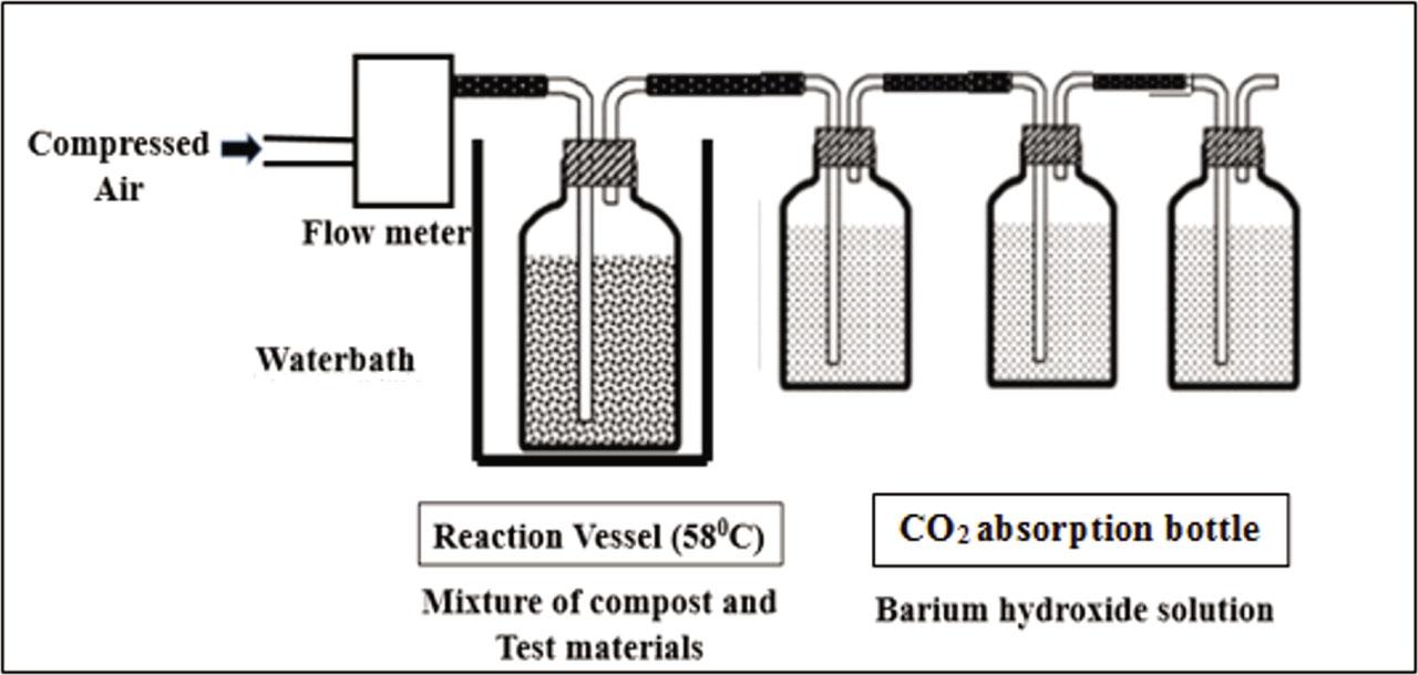 Schematic diagram of experimental setup for measuring the amount of carbon dioxide evolved.