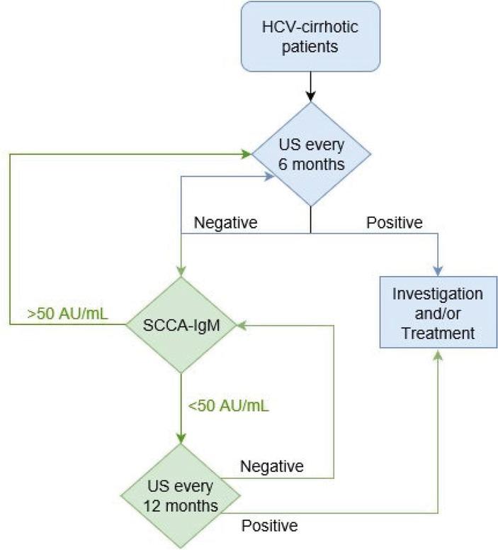 Monitoring of HCV-cirrhotic patients according to the current method (blue path) and the new alternative model (green path).