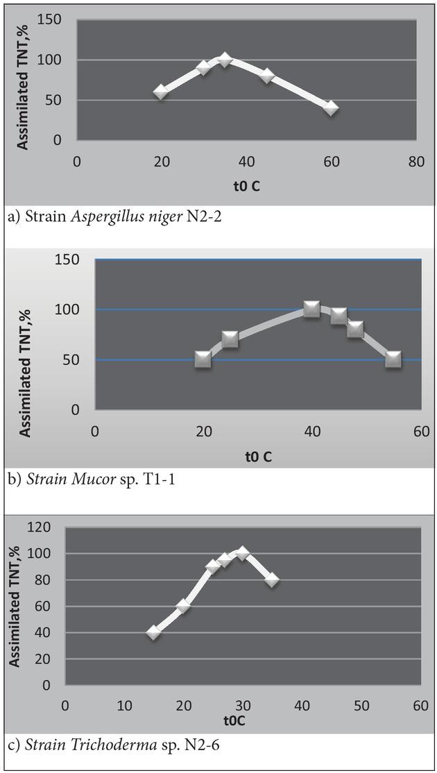 Degradation of TNT at different temperatures by microscopic fungi.