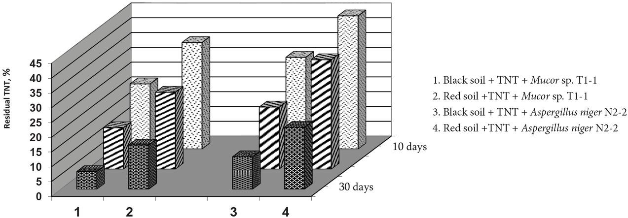 Degradation of TNT in black and red soils by microscopic fungi.