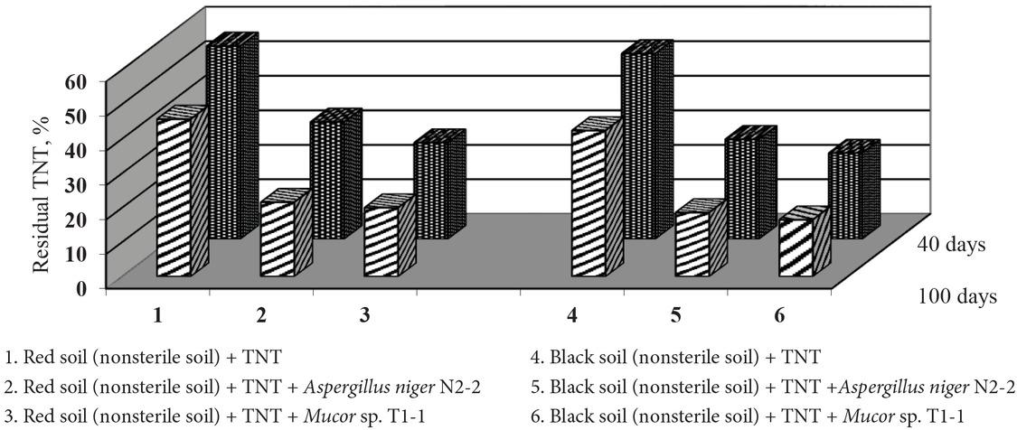 Degradation of TNT by microorganisms under natural modeling conditions.