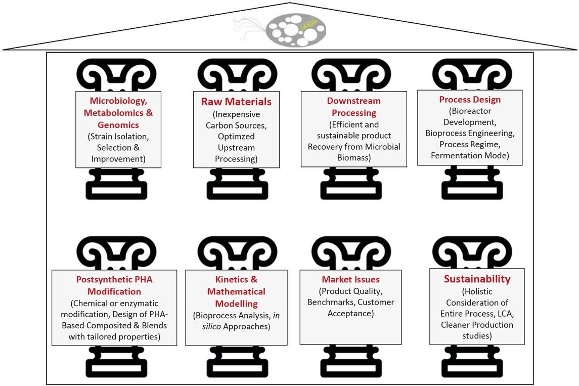 The eight pillars of cost-efficient and sustainable PHA manufacturing.