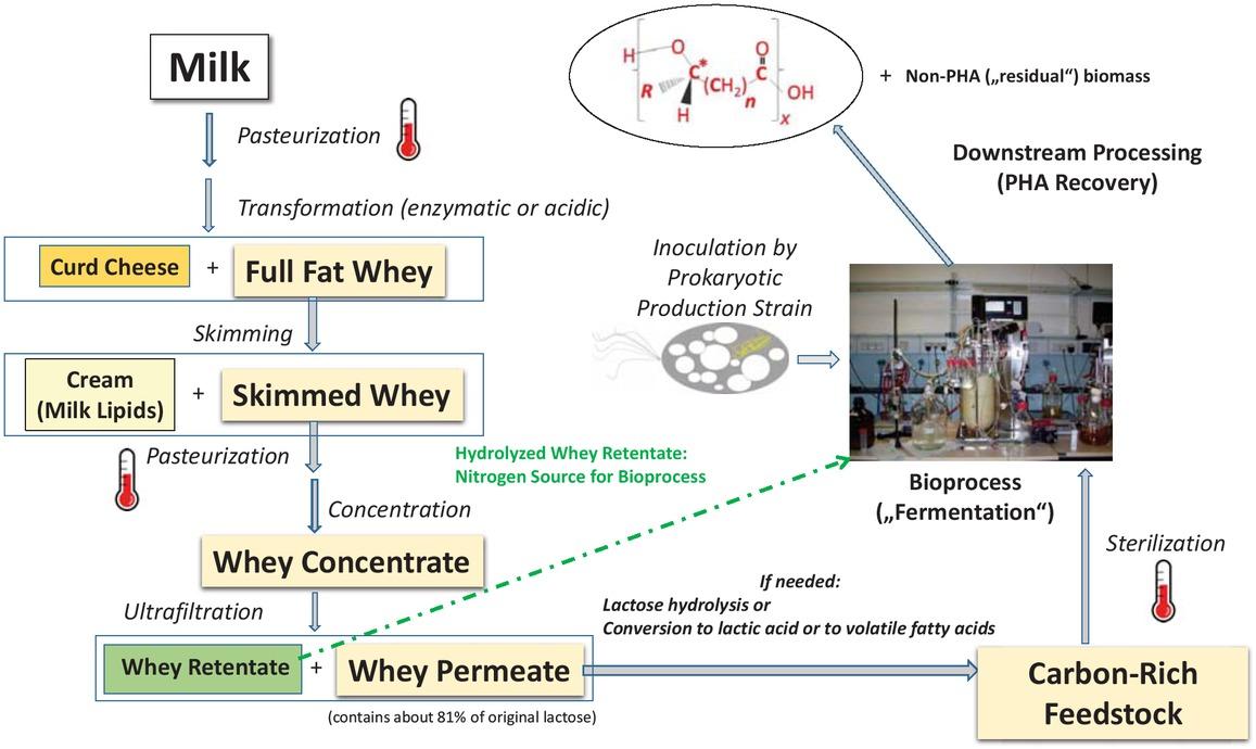 Process steps for PHA production starting from surplus whey as raw material.