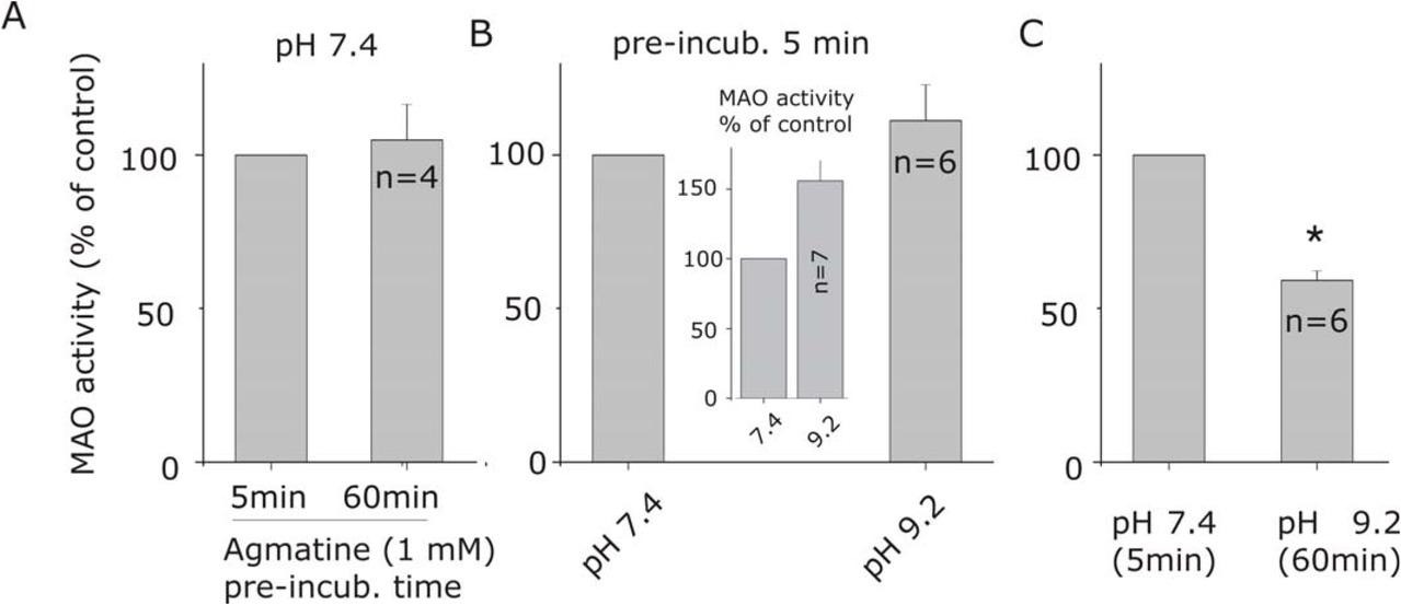 The inhibitory effect of agmatine on MAO activity depends on pH and incubation time. Bar plots showing the effect of 1 mM agmatine on MAO activity when: A) agmatine incubation time is increased to 60 minutes, while the pH is kept constant at 7.4; B) the pH is increased to 9.2, while incubation time is kept constant at 5 min (data showing the effect of agmatine on MAO activity are normalized to the MAO activity at the corresponding pH). Inset shows the increased effect of MAO activity in alkaline condition as consequence of deprotonation of amine (kynuramine) substrate. C) both agmatine incubation time and the pH are increased to 60 minutes and 9.2 respectively. The effects of agmatine (1 mM) on MAO activity are given as compared to those obtained with kynuramine substrate at pH 7.4 and agmatine incubation time fixed at 5 min.