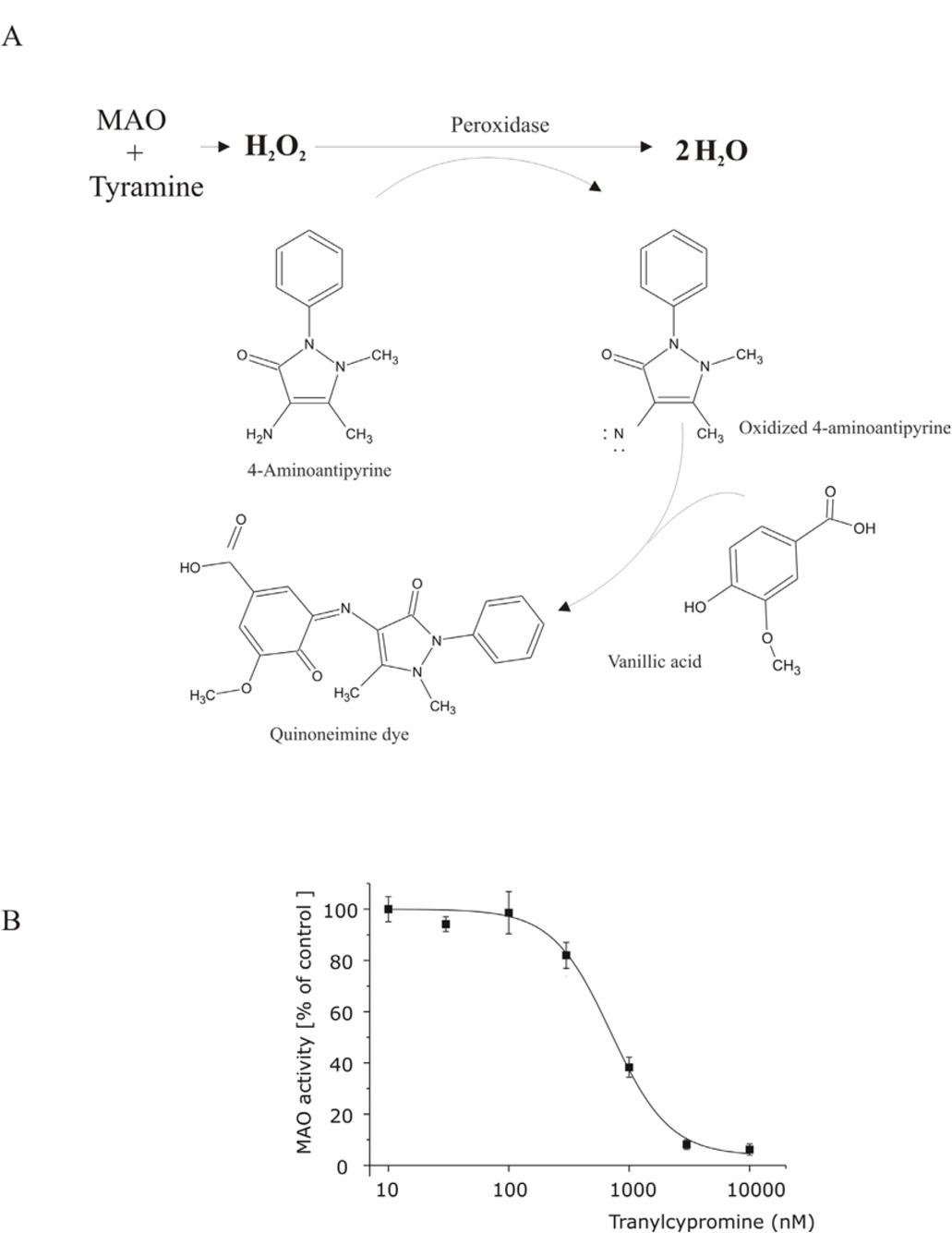 A) Peroxidase-coupled assay scheme. Hydrogen peroxide derived from MAO enzyme activity, reacts with chromogenic mixture (4-Aminoantipyrine and vanillic acid) to generate a quinoneimine dye following peroxidase enzyme catalysis. B) Tranylcypromine MAO inhibition estimated by peroxidase-coupled assay. The line represents the best fit with Hill equation providing values for IC50 of 760 nM with a Hill coefficient of 1.8. Single data points represent a mean value ± se (n=6).