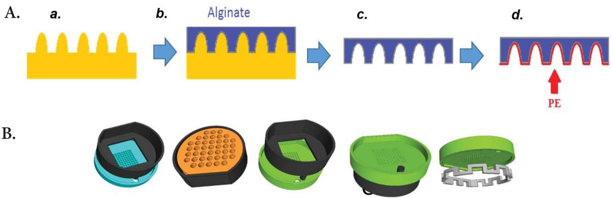 Schematic of alginate gelation process over 3D printed moulds. A. sacrificial alginate mould (c) is created over a 3D printed piece (a) to obtain a 3D shaped polyelectrolyte membrane (d). B. List of the 3D printed pieces. The assembly of these pieces allow the creation of PE pillar-like structures.
