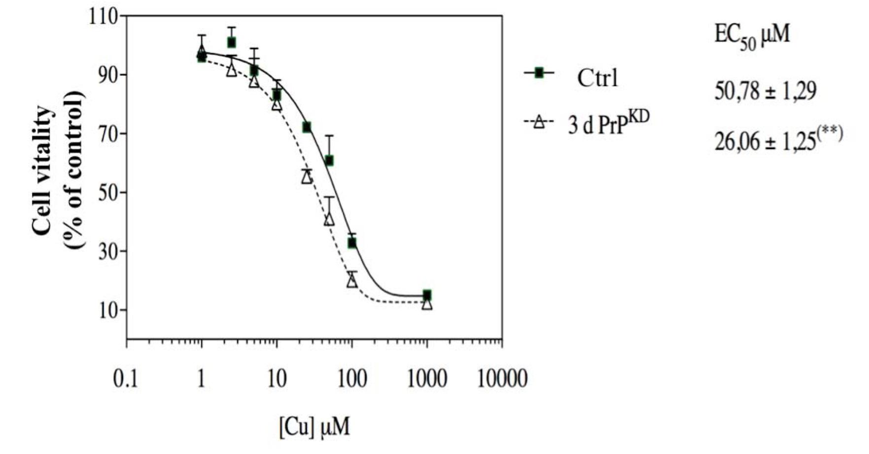 Effect of PrPC protein expression on the copper-induced cytotoxicity profile. Control and PrPKD HUVEC cells were treated for 24h with increasing concentrations of copper. The percentage of viable cells, estimated by MTT assay, is compared to the control condition (no treatment). The EC50 (half maximal effective substrate concentration) values belong to each of the dose-response curves and were evaluated using GraphPad Prism 5.0 software; the values in the graph are reported as mean ± SE and were compared by Student’s t test (n = 3; ** p <0.01).