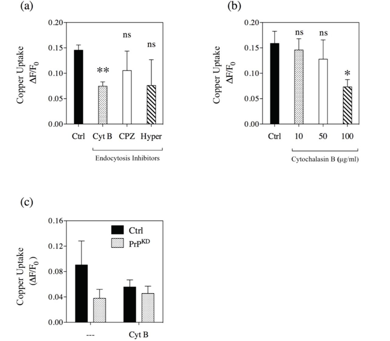 Endocytosis inhibitors effect on the copper accumulation in the HUVEC cells. (a) HUVEC cells have been pre-treated with Cytochalasin B (Cyt B; 100 μg/ml), Chlorpromazine (CPZ; 50 μM), or exposed to hypertonic shock (Hyper) for 15 min, before being dyed with Phen Green SK fluorescent indicator and exposed to a Cu-His2 concentration of 20 μM. (b) Cytochalasin B scalar concentrations effect on the ion copper uptake (Cu-His2 20 μM; n=3, *p<0.05). (c) Cytochalasin B effect on the copper uptake in HUVEC Ctrl and PrPKD cells. (n=3; ANOVA, **p<0.01).
