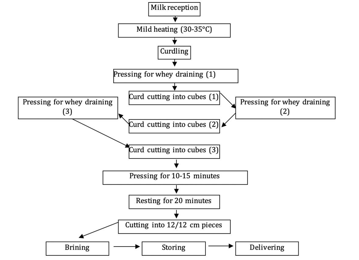 Traditional Romanian soft brined cheese manufacture diagram.