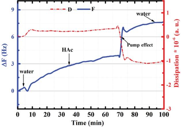A typical QCM sensogram of a DMPA deposition and corrosion inhibitory test as changes of frequency (Δf; solid blue line) and energy dissipation (ΔD; dash red line multiplied by 10-6) against the time.