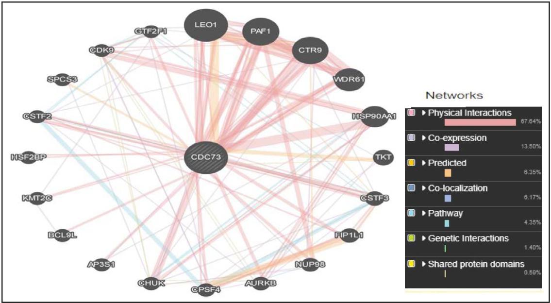 Interaction between CDC73 gene and related genes using Gene MANIA software showing the different types of interactions between these genes. With physical interactions being the most significant type (76.64%).