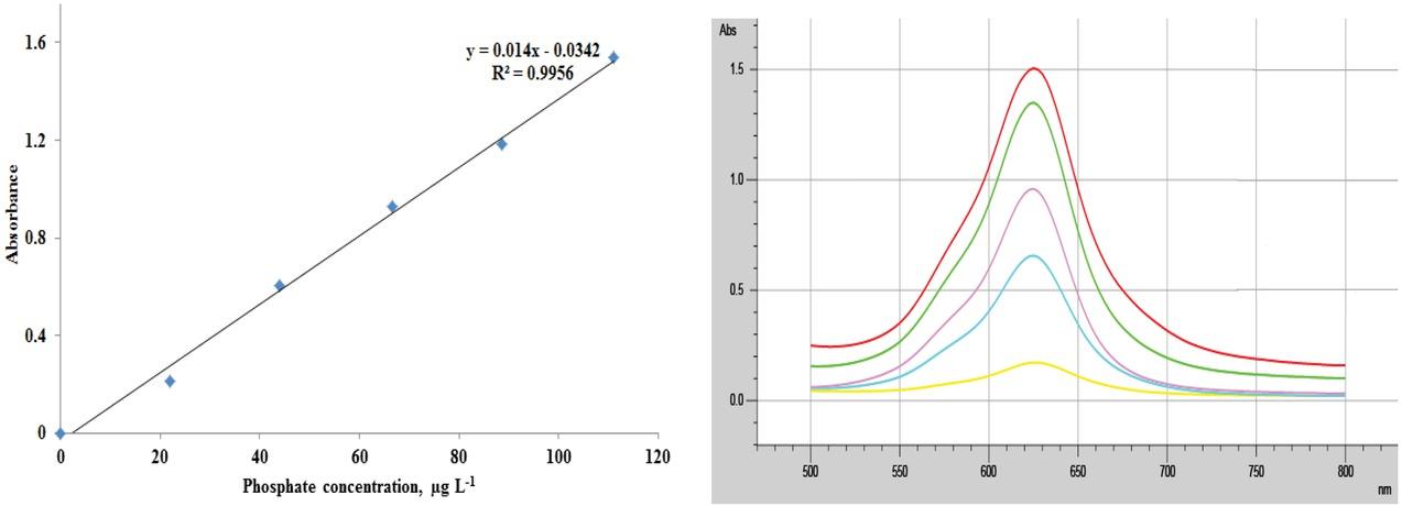 The calibration curve (A) and UV-Vis spectrum belong to increasing phosphate concentration (B).