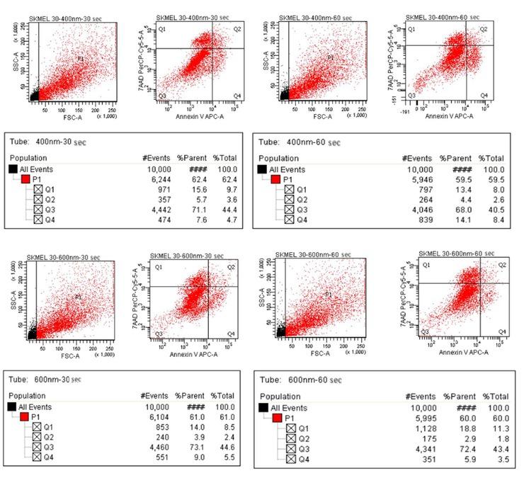 Annexin-V/7-AAD apoptosis/necrosis analysis of 30 s and 60 s PDT treated SK-MEL-30 cells.