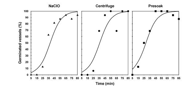 Effect of time and three disinfection-plus-scarification methods (NaClO, CENTRIFUGE, and PRESOAK) on the proportion of germinated vessels of Anacamptis laxiflora 189 d after sowing. Markers are measured points (n = 16) and lines are fitted models.