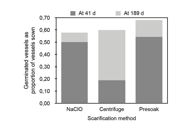 Effect of three disinfection-plus-scarification methods on the proportion of germinated vessels at 41 versus 189 d. At 189 d, the parameter estimates for the odds-ratios were not statistically significant for CENTRIFUGE (p>|t| = 0.720) and PRESOAK (p>|t| = 0.068) compared to the reference method, whereas at 41 d the parameter estimate was statistically significant for CENTRIFUGE (p>|t| < 0.001). Centrifugation seems to severely delay germination, although given enough time the proportion of germinated vessels catches up.