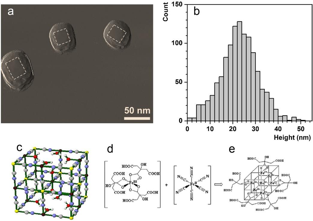Topographical structure, size distribution and chemical constituents of Prussian Blue nanoparticles (PBNP). a. High-resolution Atomic Force Microscopic (AFM) image of PBNPs. The cuboid shape of individual particles is highlighted by the segmented lines that enclose a flat rectangular area on their surface. b. Distribution of the maximal topographical height obtained by automated particle analysis on 1147 particles. Crystal structure (c), and the schematics (d) and spatial arrangement (e) of coordinated constituting ions of citrate-coated PBNPs. Figure adapted from (12) and (15), copyright the Authors.
