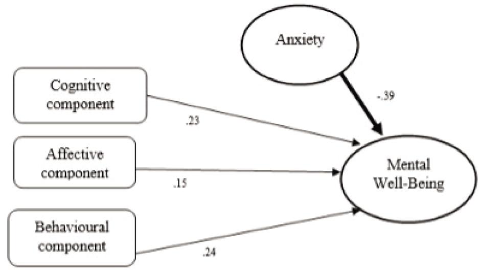 The Results of the Conceptual Model from the SEM (N=507) *p < .000.