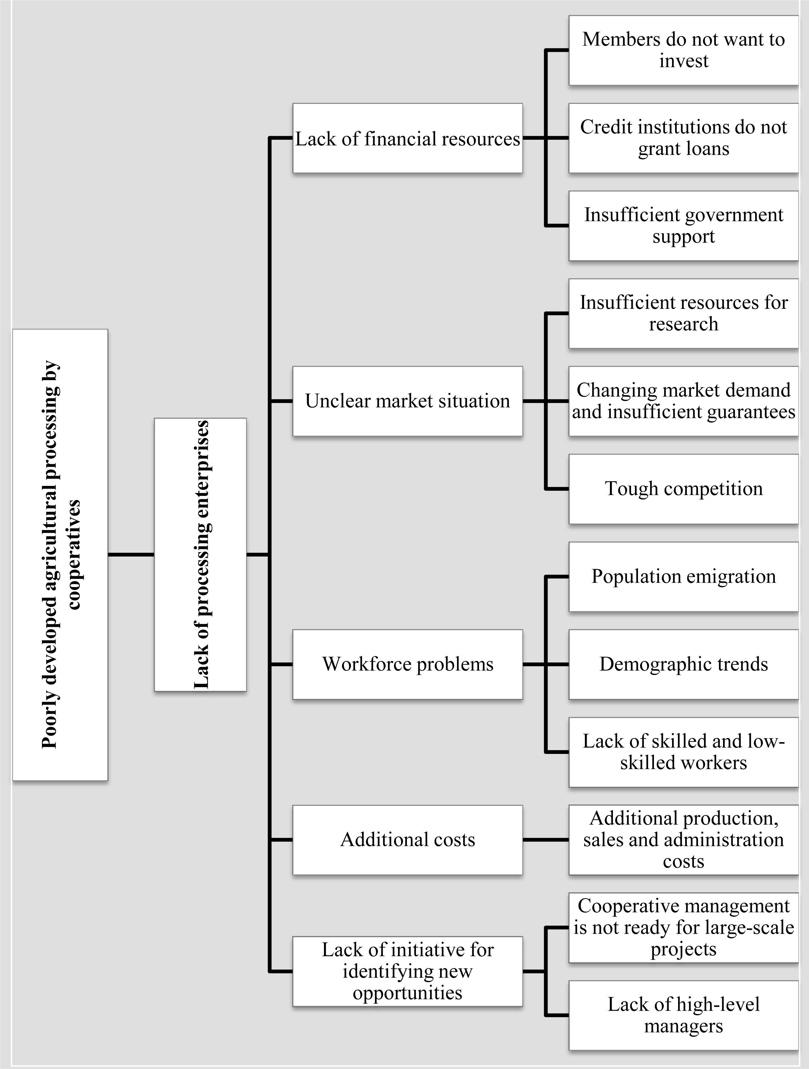 Tree diagram of the causes for the problem faced by grain cooperatives, i.e. the poorly developed agricultural processing
