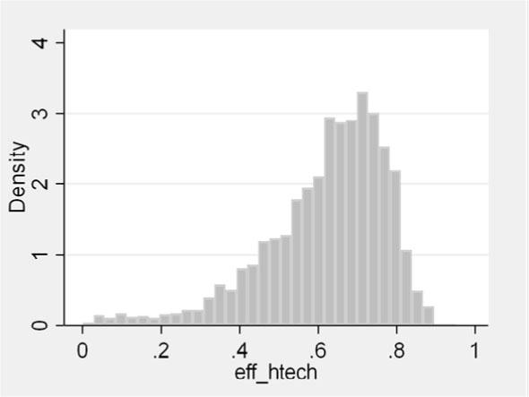 Distribution of technical efficiency for the firms from high-tech sectors with inefficiency determinants