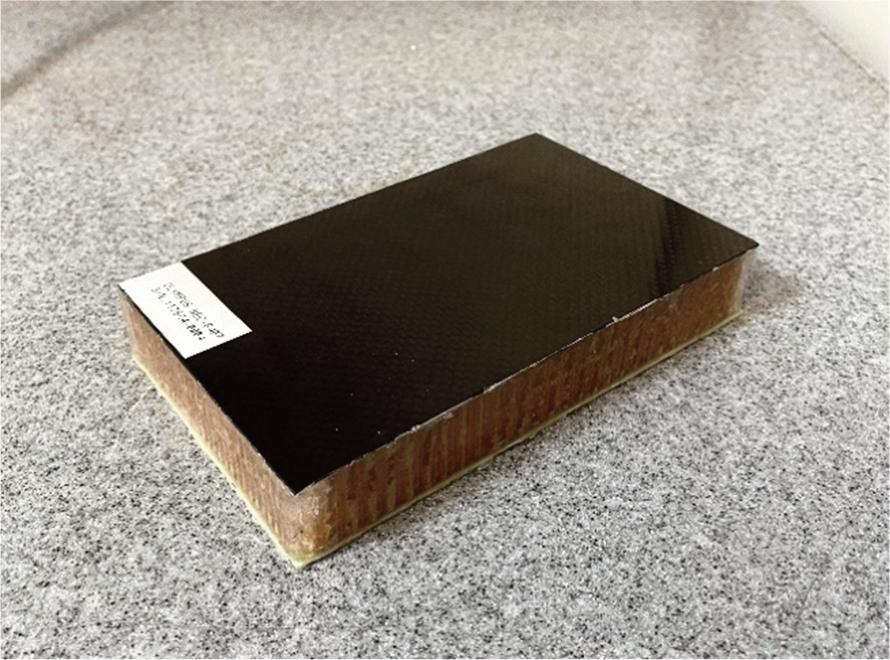 Sample 1. (used for MIA testing)